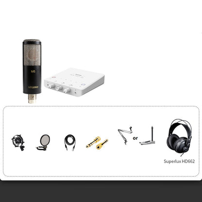 Professional Condenser Microphone Recording Live Dubbing